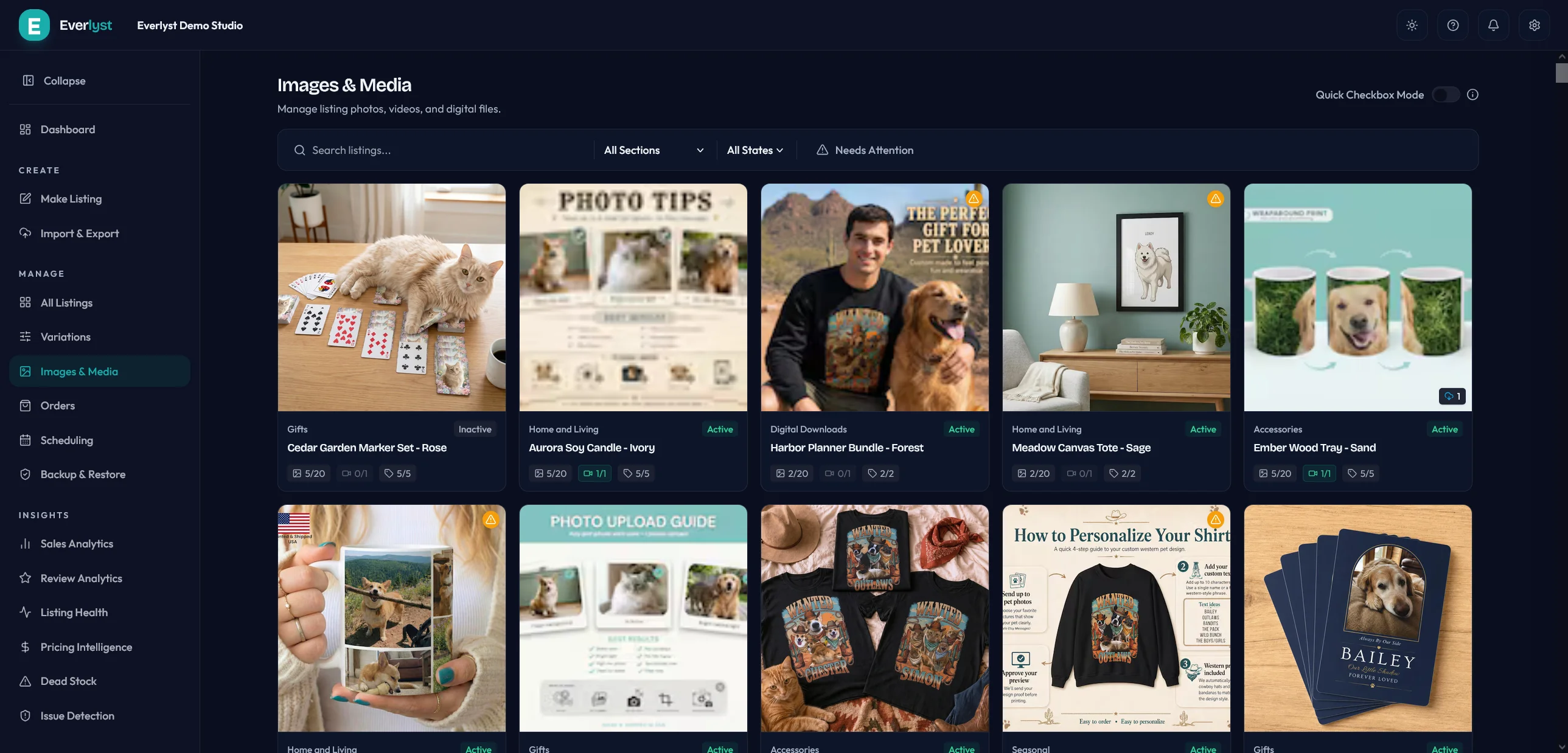 Espace Images & Media Everlyst avec photos et textes alternatifs.