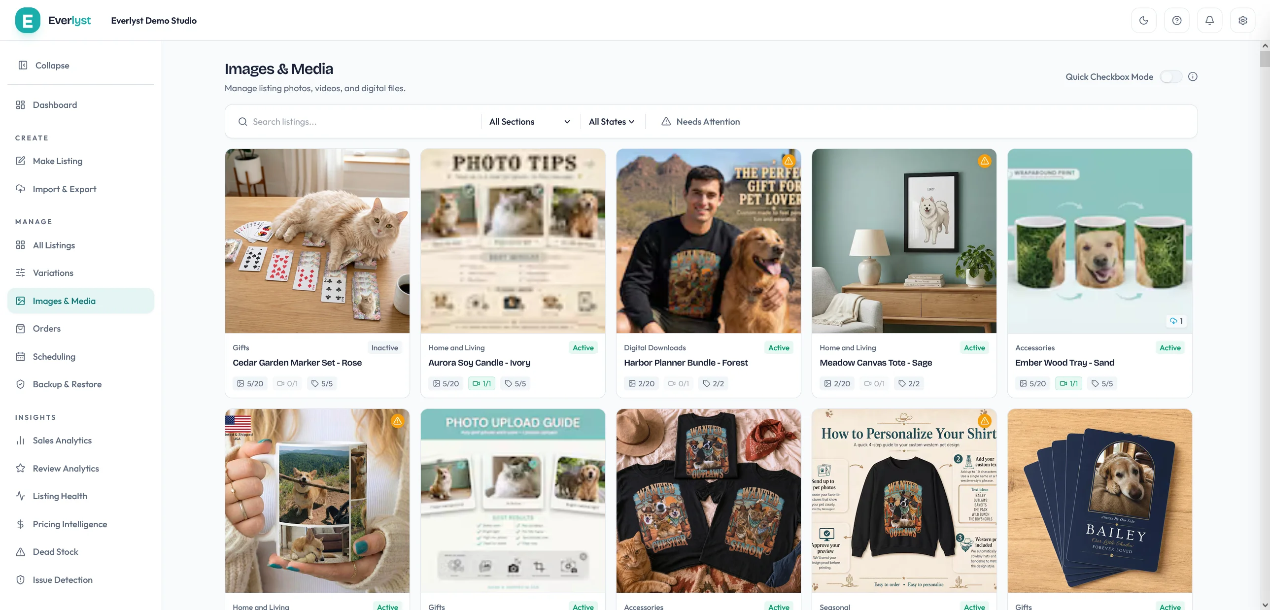 Espace Images & Media Everlyst avec photos et textes alternatifs.